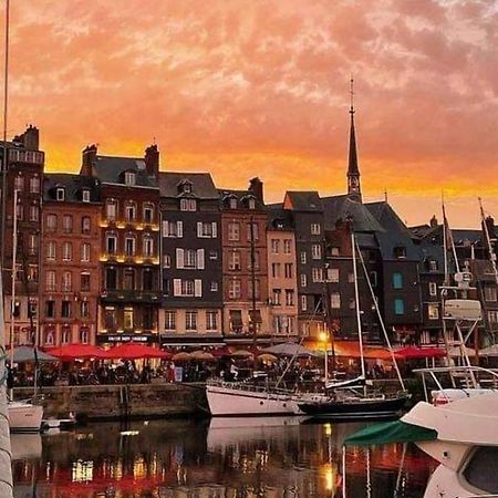 Le Petit Honfleur Daire Dış mekan fotoğraf