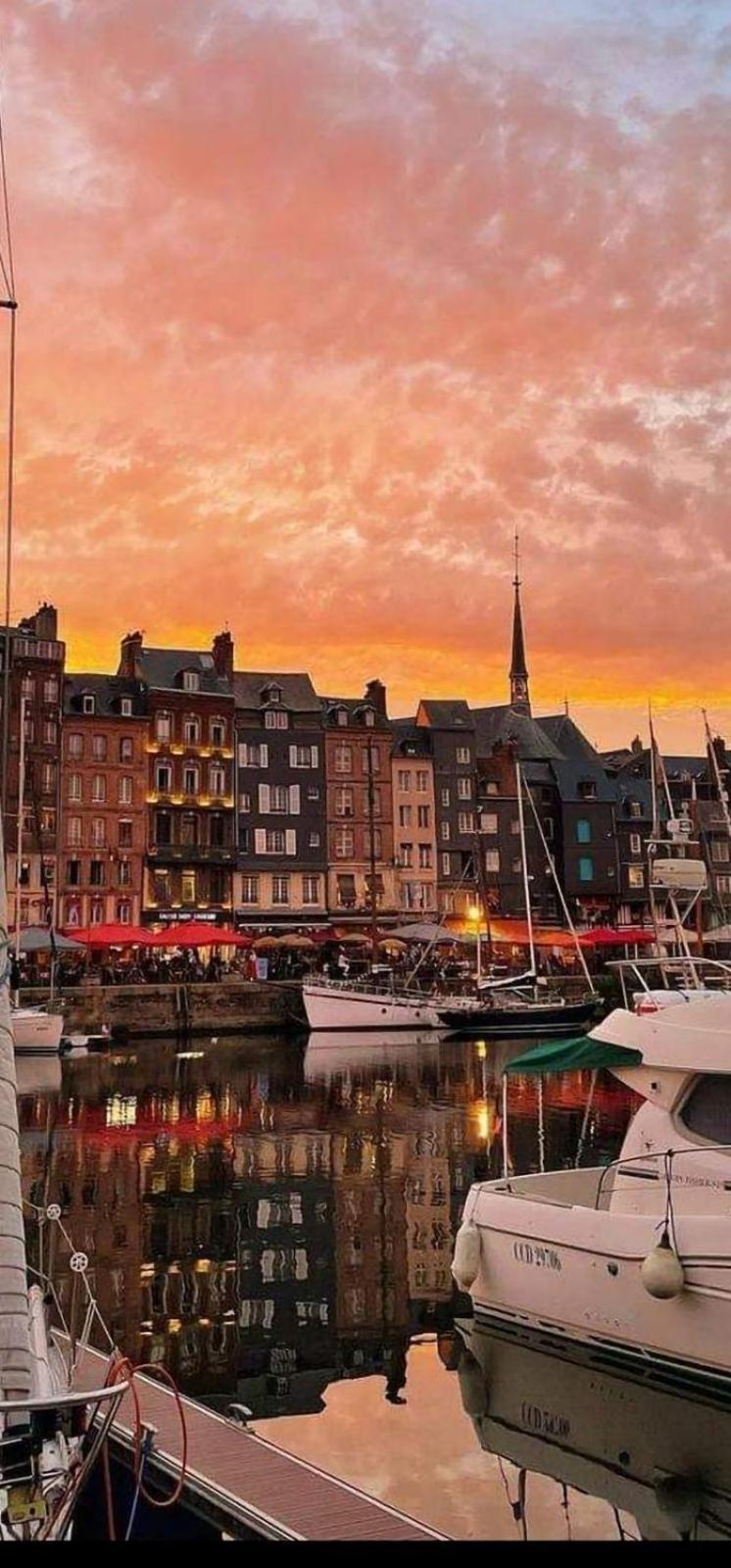 Le Petit Honfleur Daire Dış mekan fotoğraf
